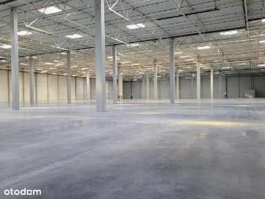 Magazyn do wynajęcia - przy lotnisku Jesionka
