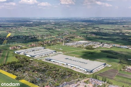 hala do wynajęcia klasy A w Łodzi