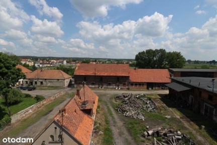 OKAZAŁY ZAMEK Z FOLWARKIEM, Wąsosz, górowski, dolnośląskie