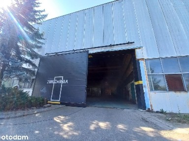 Pierwsze 3 miesiące za 1 zł, hala 500 m2 produkcja