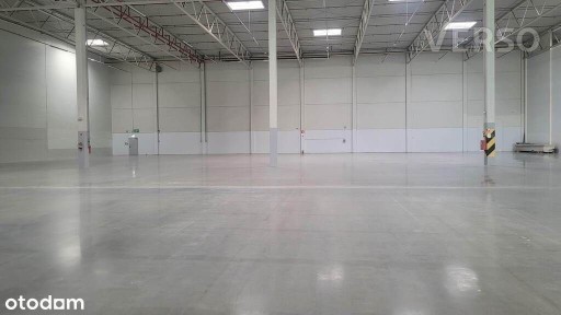 Magazyn/warehouse 4430 sqm. 2-years contract
