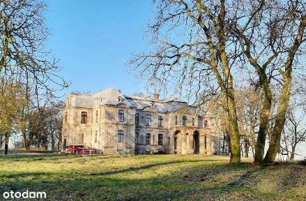 Zabytkowy pałac, park, 2 stawy, Więsławice-Parcele