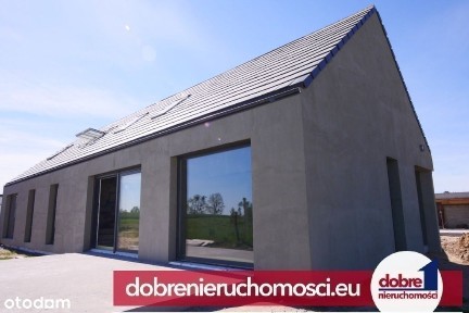 Deweloperski Wąsosz - piękna okolica, jezioro, las