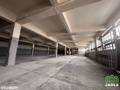 Zimne Wody Magazyn na wynajem 1141m winda towarowa