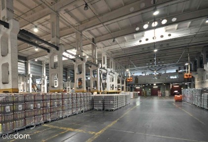 Hala/Magazyn, 30 000 m², Katowice