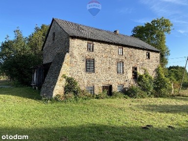 Siedlisko 12 ha rzeka stawy las drewniany dom Młyn