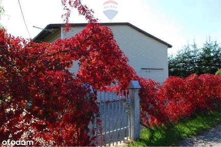 Studio nagrań - rozwój osobisty - joga