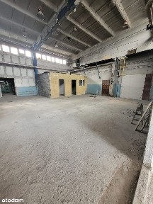 Hale w strefie przemysłowej w Nowej Soli