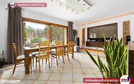 Dom z charakterem na polanie, działka 5300m2.