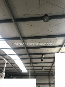 Lubicz Dolny, Lubicz, toruński, kujawsko-pomorskie