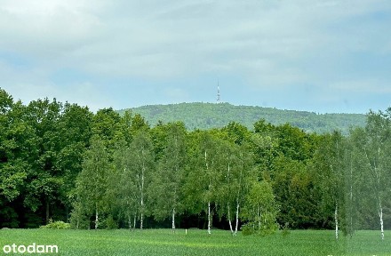 NOWA CENA! Rezydencja z 1ha ogrodu przy lesie