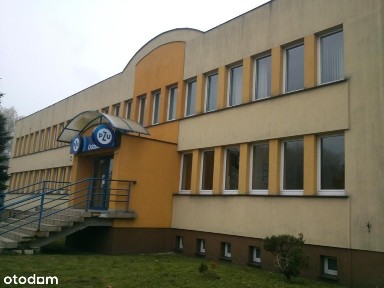 Września, Miłosławska 14 powierzchnia do wynajęcia