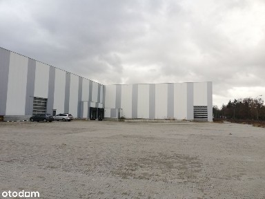 Kutno, kutnowski, łódzkie