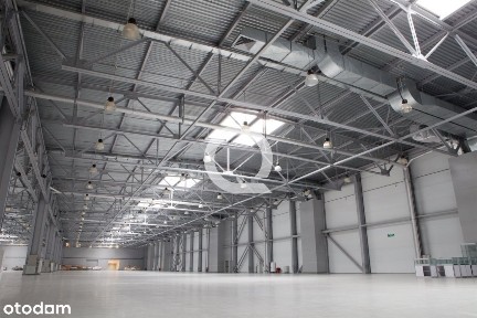 Koninko, Kórnik, poznański, wielkopolskie