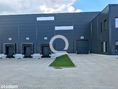 Nowosolna, Widzew, Łódź, łódzkie