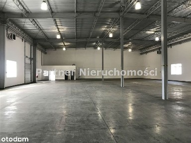 Hala Magazynowo - Produkcyjna ! 2000M! Rampy!