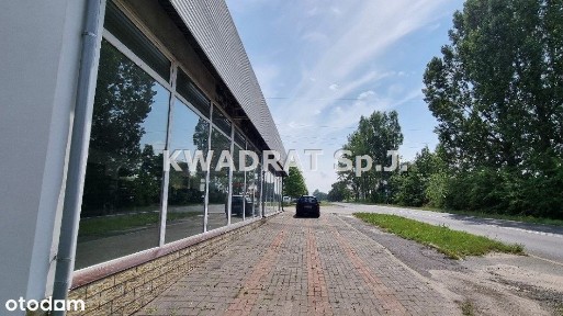 Lokal użytkowy, 1 664 m², Syców