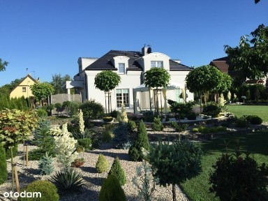 Oleśnica / Piękny / Działka 1500 mkw