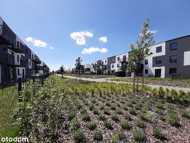 Ogród*zachodnia wystawa*malownicza okolica