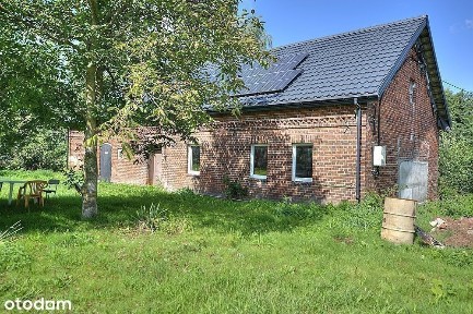 NOWA CENA! Nieruchomość w Sarnowie