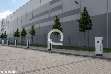 Stogi, Gdańsk, pomorskie