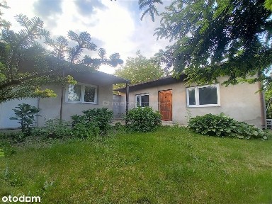 Siedlisko z domem i działką 1 ha w Krężcach