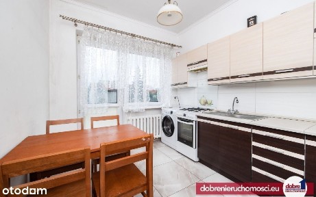 Brzoza, Nowa Wieś Wielka, bydgoski, kujawsko-pomorskie