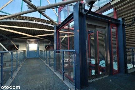 ul. Grunwaldzka, Junikowo, Grunwald, Poznań, wielkopolskie