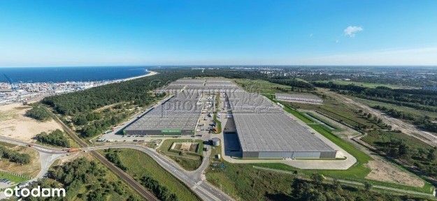 hala do wynajęcia klasy A w Gdańsku