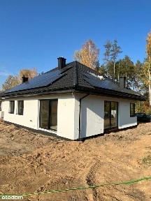 Bliźniak bezpośrednio przy lesie,kolejny etap!