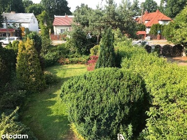 Działka z domem w Centrum Izabelina