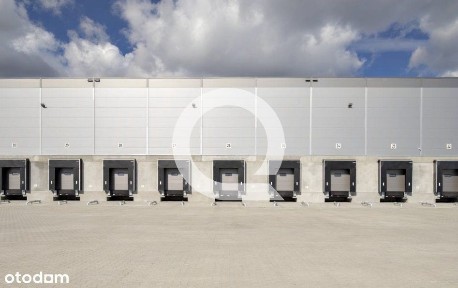 Chocicza Mała, Września, wrzesiński, wielkopolskie