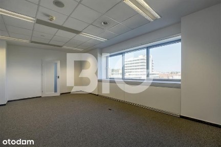 ul. Podolska, Działki Leśne, Gdynia, pomorskie