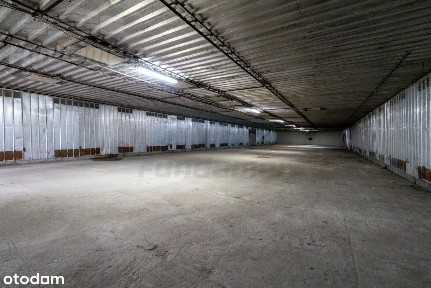 550mkw Łazy/Wólka Kosowska - Nowa cena