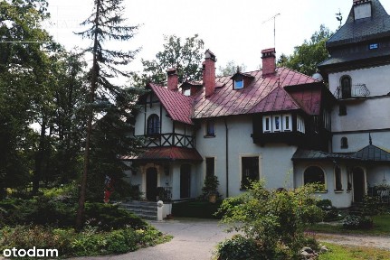 Zabytkowy pałacyk z wieloma możliwościami