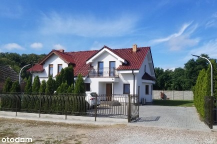 Buk Poznań Okolica Cisza, las, jeziora! Nowa Cena!