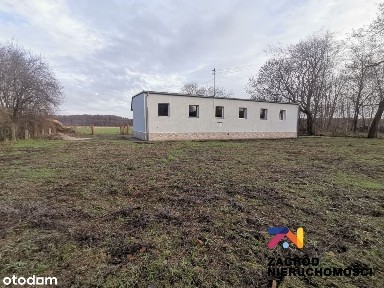 Budynek usługowy w Strzegowie na sprzedaż.