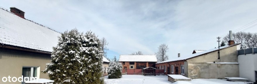 Dom + warsztat stolarski + budynek gos. i działką 80 arów