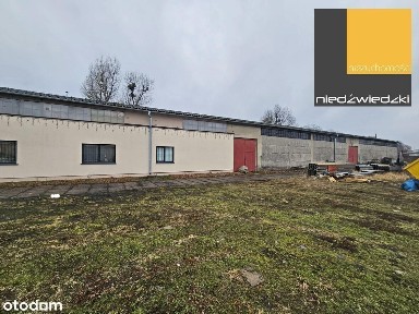 Hala z placem we Wrześni