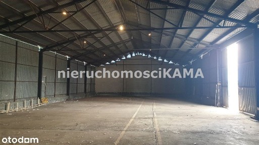 Hala/Magazyn, 783 m², Bielsko-Biała