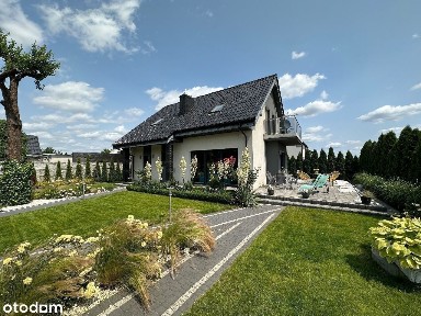 Dąbrowa, Dopiewo, poznański, wielkopolskie