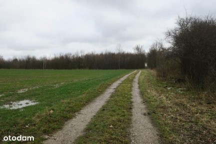 Dom, 107 m², Młodocin Większy