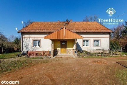 Urocze siedlisko w lesie