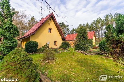 Stare Leśno - dom w sercu natury