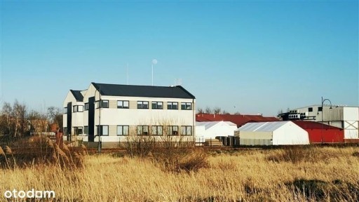 Wspólna, Łeba, lęborski, pomorskie