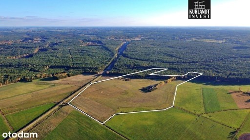 Siedlisko 13 ha Brzozie Bory Tucholskie