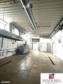 zachodniopomorskie, Szczecin, Zachód, Pomorzany