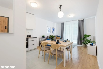 Bezpośrednio I Przyjazne zwierzętom I W centrum miasta