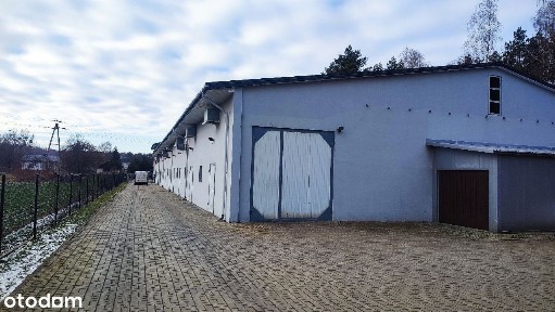 Hala Magazynowa/Produkcyjna dużo pomieszczeń