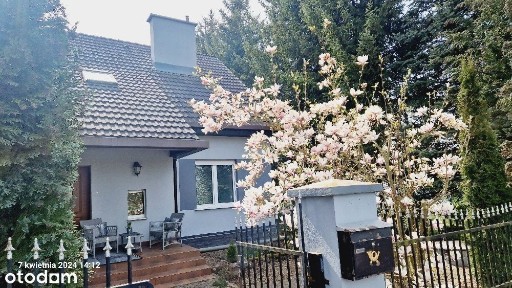 Moryń przy jeziorze pierwsza linia zabudowy